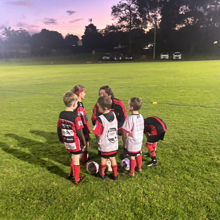 Investing in Coaches